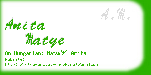 anita matye business card